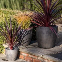 Cement Pot - Waxed -GardenGlamour pr2000046322 card5 lg