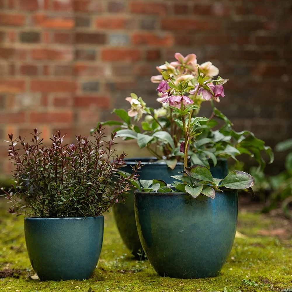Glazed Terracotta Pot - Reef Blue 6 Glazed Terracotta Pot - Reef Blue - Image 4