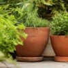 Terracotta Herb Pot And Saucer - Large -GardenGlamour pr2000046523