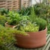 Terracotta Herb Bowl - Small -GardenGlamour pr2000046526