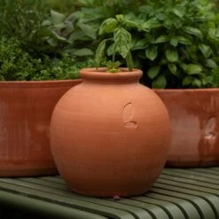 Terracotta Erigeron Pot - Small -GardenGlamour pr2000046529 card3 lg