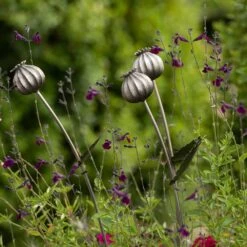 Poppy Seed Head Stake - Large Seed Head -GardenGlamour pr2000046971 card6 lg