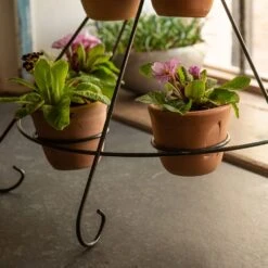 Tiered Plant Theatre - 6 Pots 14 Tiered Plant Theatre - 6 Pots -GardenGlamour pr2000048005 card6 lg