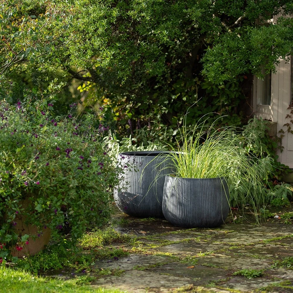 Ripple Bowl Planter - Ash Grey 10 Ripple Bowl Planter - Ash Grey - Image 8