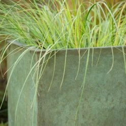 Square Terrace Planter - Verdigris -GardenGlamour pr2000048721 card8 lg