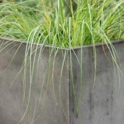 Square Terrace Planter - Weathered Cement -GardenGlamour pr2000048722 card5 lg