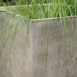 Square Terrace Planter - Weathered Cream -GardenGlamour pr2000048723 card5 lg