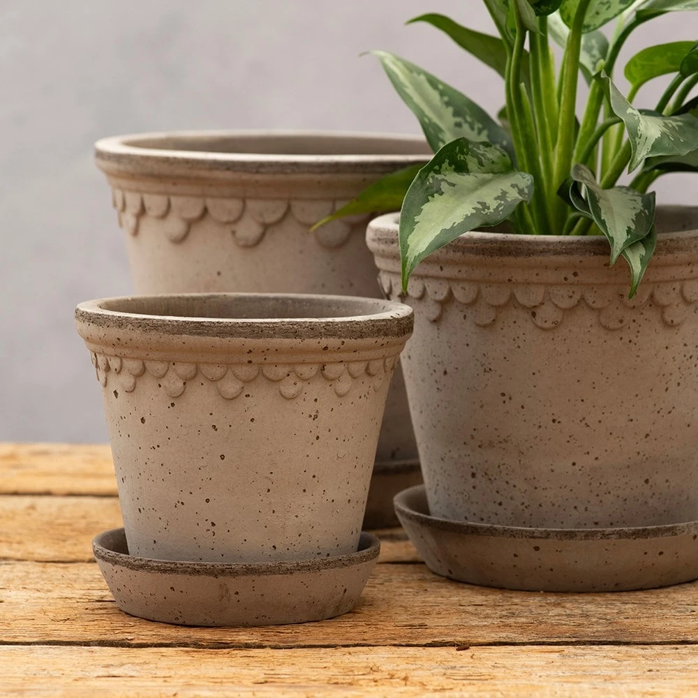 Scalloped Tapered Plant Pot With Saucer - Grey Terracotta 4 Scalloped Tapered Plant Pot With Saucer - Grey Terracotta - Image 2
