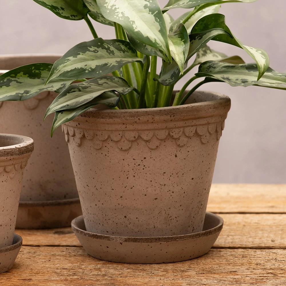 Scalloped Tapered Plant Pot With Saucer - Grey Terracotta 6 Scalloped Tapered Plant Pot With Saucer - Grey Terracotta - Image 4