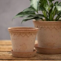 Scalloped Tapered Plant Pot With Saucer - Terracotta -GardenGlamour pr2000049052 card4 lg
